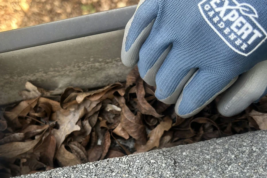 Gutter Cleaning Fayetteville AR